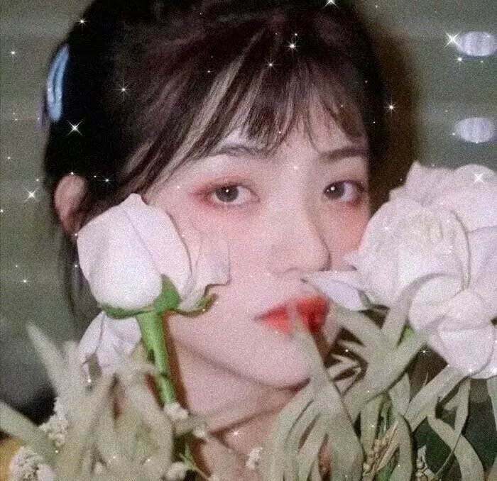 新恋爱经
